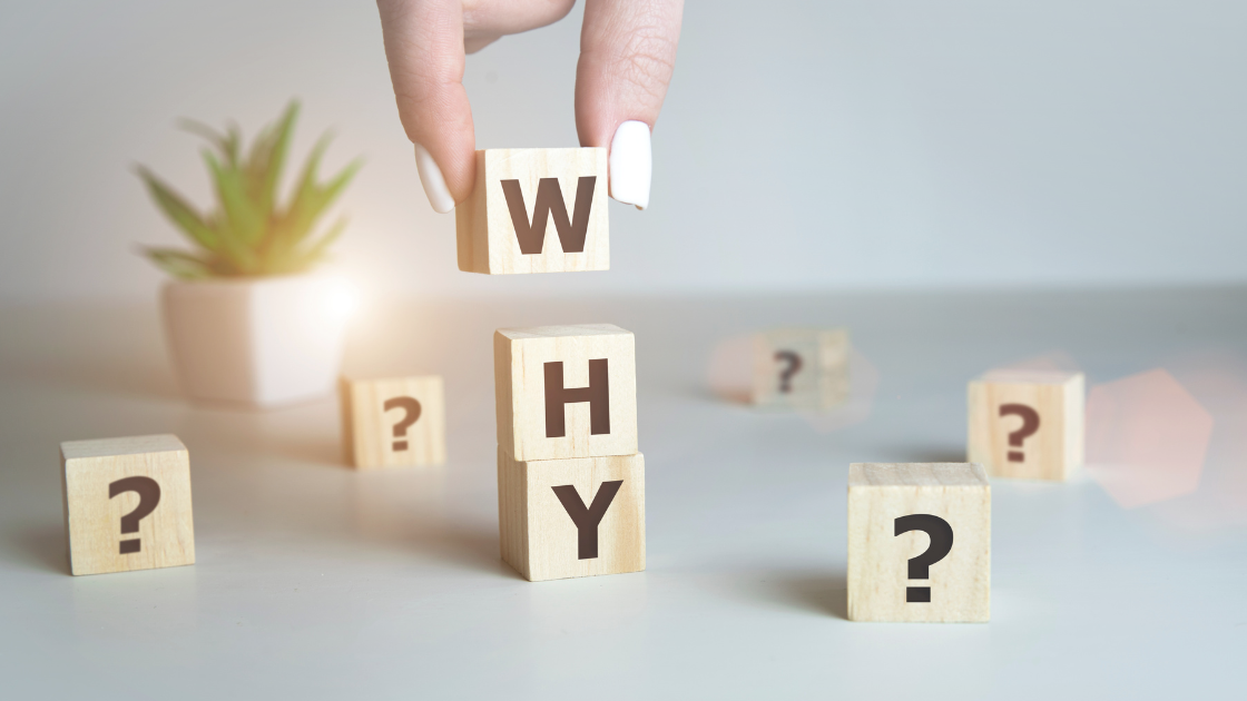 Why Sustainable Bin Cleaning Matters More Than Ever